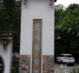 玉田关于伴游中国伴游你们伴得是什么游的信息