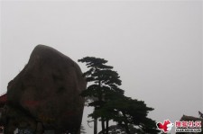 玉田上海伴游私家陪游雇用女模(上海伴游私家陪游雇用女模特)