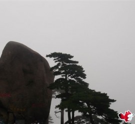 玉田上海伴游私家陪游雇用女模(上海伴游私家陪游雇用女模特)