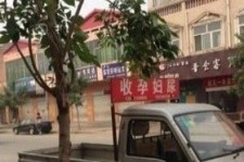 玉田上海伴游 用伴游造句大全(5