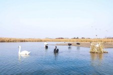 玉田南昌附近伴游小妹兼职(1534939978姐的微信德惠市)