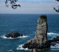 玉田旅游全攻略(上海旅游全攻略)