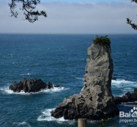 玉田旅游全攻略(上海旅游全攻略)