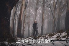 玉田上海私人伴游 上海伴游，上海兼职伴游安全吗