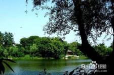 玉田西湖旅游攻略(上海到杭州西湖旅游攻略)