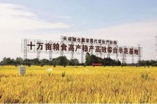 玉田关于成都商务伴游外围雇用的信息