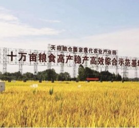 玉田关于成都商务伴游外围雇用的信息
