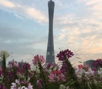 玉田广州旅游攻略(杭州到广州旅游攻略)