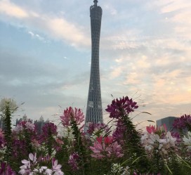 玉田广州旅游攻略(杭州到广州旅游攻略)