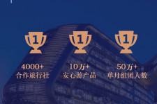玉田上海私人伴游 ​ “小而美”的新时代：2020年国内新跟团消费报告