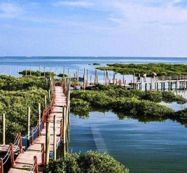 玉田旅游哪里好玩(云南旅游哪里好玩)