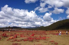 玉田旅游去处(暑期最好的旅游去处)
