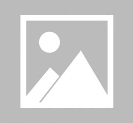 玉田辽宁伴游雇用信息(辽宁伴游雇用信息最新)